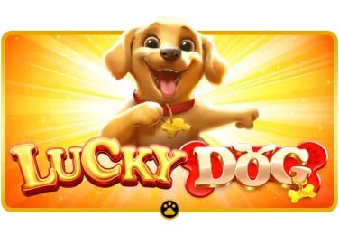 bd89 apk